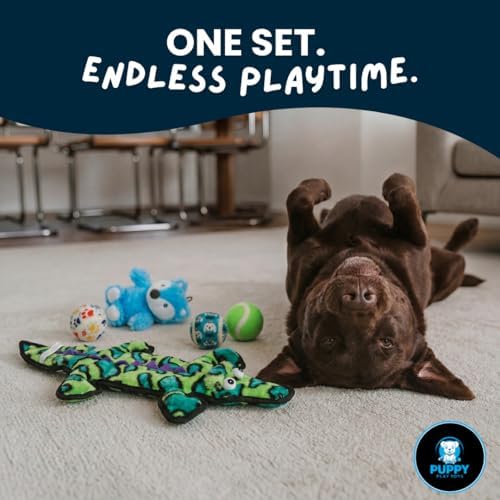 5-Piece Dog Toy Set – Tough Alligator Tug Toy, Plush Hedgehog with Internal Spiky Ball & Tennis Balls – Interactive Toys for Teething, Fetch & Training – Gifts for All Dog Sizes