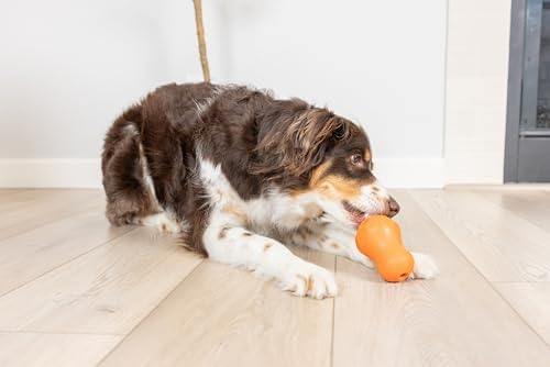 Chuckit! Tumble Teez Dog Treat Puzzle Toy, Medium, Orange – Interactive Tumble‑Shaped Treat & Chew Puzzle Pod for Dogs 20–60 lb – Durable Rubber Fetch Toy with Interior Treat Chamber – Pack of 1