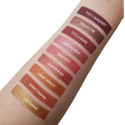 Aromi Liquid Lipstick | Sepia Taupe Rose Lip Color, Vegan + Cruelty-free, Long-Lasting Makeup, Matte Finish (Dusty Burgundy)