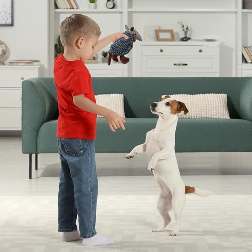 Hollypet Armadillo Squeaky Puppy Dog Toys for Small Medium Dogs, 8"