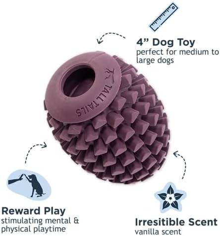 Tall Tails Enrichment Reward and Chew Toys for Dogs 2 Pack, Medium
