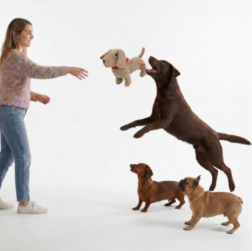 Fuzzl Sizzles Plush Dachshund Dog Toy, Large