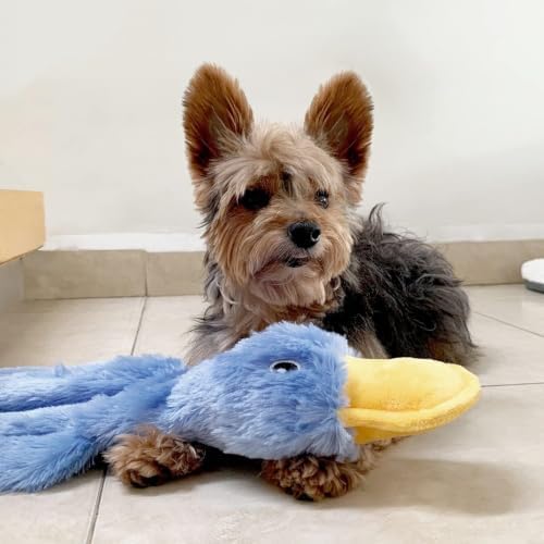 Squeaky Duck Dog Toy, No Stuffing Crinkle Plush Dog Toys for Small Medium Large Dogs, Interactive Durable Chew Toy for Puppies, (Crinkle Duck (Right Blue))