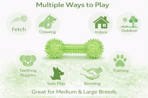 Squeaky Spiky Dog Barbell Toy for Teeth Cleaning & Gum Massage 6.3 Inch Medium Large Dogs Green | Spiny TPR Rubber Chew Toy for Fetch Play Interactive Dental Barbell Durable BPA Free Nontoxic Floats