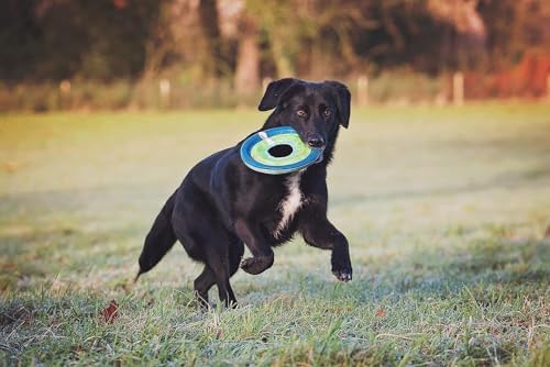 Chuckit! Max Glow Zipflight Flying Disc Dog Toy, Floats, Medium, 8.5in