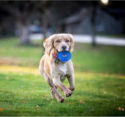 Andiker Squeaky Dog Toy, Safe TPR Chewable Dog Toys for Teeth Grinding&Cleaning Dog Fetch Toys for Enhancing Interactivity Outdoor Suitable for All Dog Sizes Puppy’s and Dogs (Large Blue)