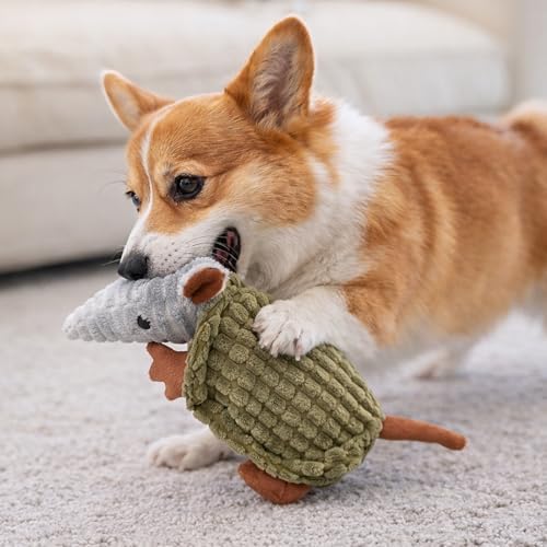 Hollypet Armadillo Squeaky Puppy Dog Toys for Small Medium Dogs, 8"