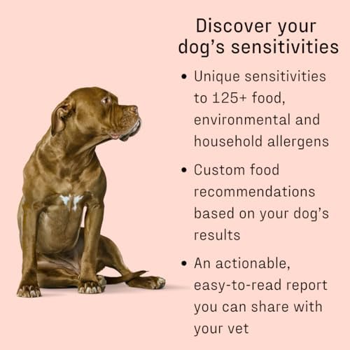 DNA MY DOG β Ultimate Health & Breed Bundle | Canine Allergy Test (120+ Allergens) & Breed ID Test (350+ Breeds) | Non-Invasive Cheek Swab, Fast Results, Detailed Reports & Personalized Tips