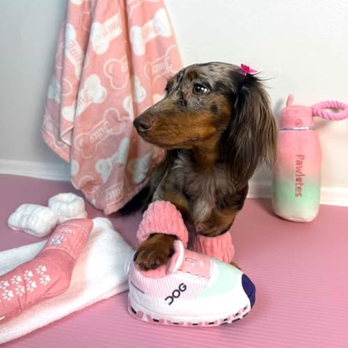 Haute Diggity Dog Workout Shoe Plush Dog Toy, Funny Parody Chew Toys