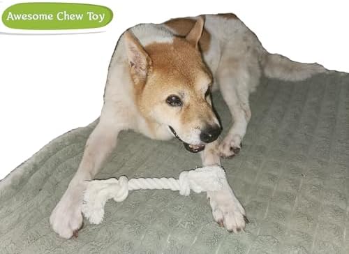 2-Pack Dog Rope Toys for Small & Medium Dogs – Durable 10" Cotton Chew Tug Toys with 2 Knots for Puppy Teething, Dental Cleaning, Boredom Relief, Indoor & Outdoor Play, White