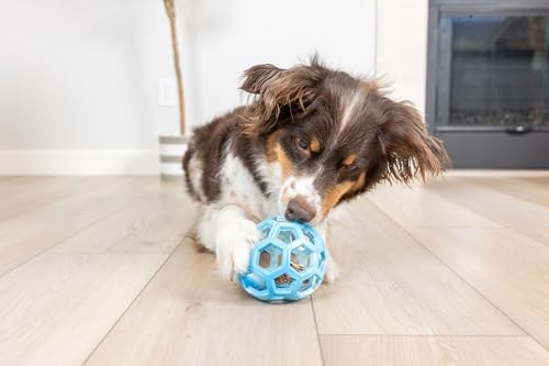 Chuckit! Holee Roller Dog Treat Puzzle Ball, Medium (2.5"), Blue – Interactive Treat & Chew Puzzle Toy for Dogs 20–60 lb – Durable Rubber Fetch Ball for Mental Stimulation – Pack of 1
