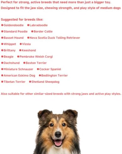 Stuffable Enrichment Dog Toy – Durable Natural Rubber Treat Dispenser for Medium Dogs, Irregular Shape, Red, Bully Stick Compatible