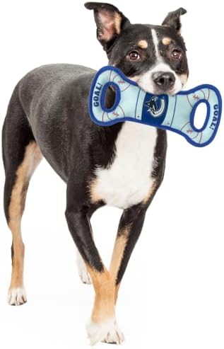 Pets First NHL Vancouver Canucks Ice Hockey Rink PET Toy with Inner Squeaker. A Tough Toy for Dogs & Cats with Exciting Hockey Graphics, Gorgeous Team Logo & Double Stitch Trims