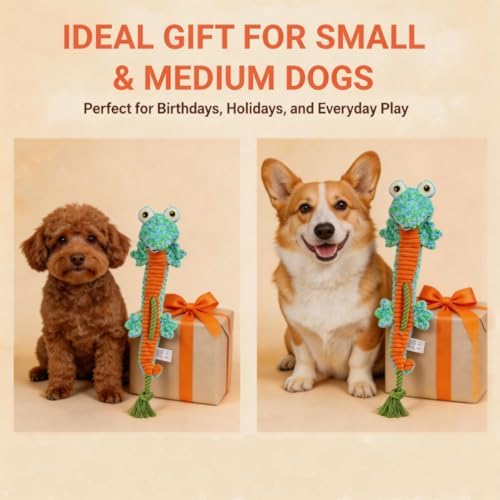 23.62 Inch Stuffing Free Lizard Squeaky Dog Toy, Tug Chew Toy for Dogs