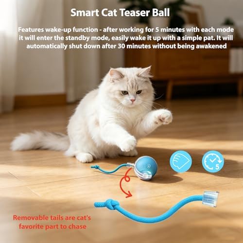 Interactive Cat Toys Ball for Indoor Cats, Automatic Self-Rolling, Motion-Activated, Bird Chirping Cats Dogs Ball Toy with Elastic Mesh Tail, Cat Enrichment Toys for Indoor Cats (Red+Blue)
