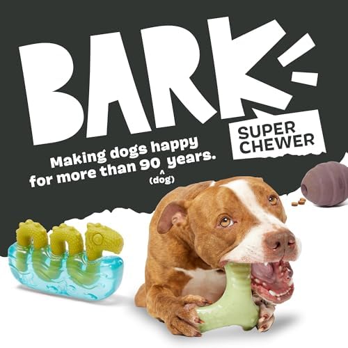 BarkBox Treat Yourself Party Hat Dog Toy - Toy for Small to Medium Dogs