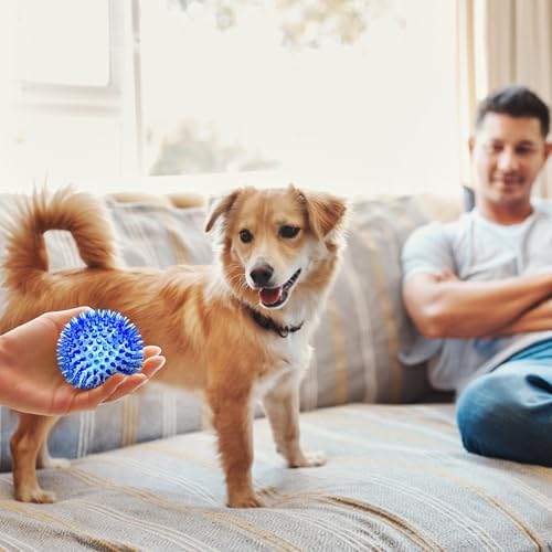 SHARLOVY 3'' Squeaky Balls for Small Dogs, 4 Spiky Dog Balls for Teething