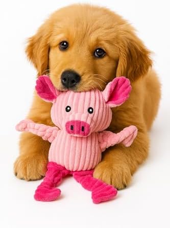 Jalousie Plush Toys Assortment Value Bundle Puppy Pet Mutt Squeak Toy for Medium Large Dogs (5 Pack Knotted)