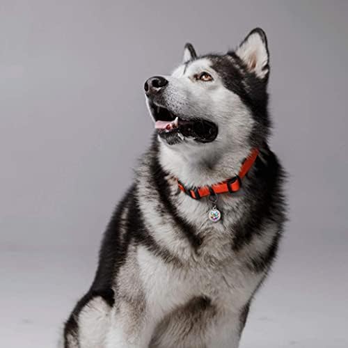 QR Code Dog Tag Personalized Pet Id Silent Cat Tags Engraved Name Plate with Online Profile («Wow»)