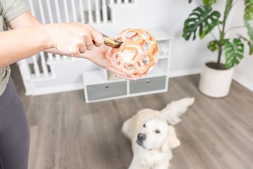 Chuckit! Holee Roller Dog Treat Puzzle Ball, Large (3"), Orange – Interactive Treat & Chew Puzzle Toy for Dogs 60–100 lb – Durable Rubber Fetch Ball for Mental Stimulation – Pack of 1