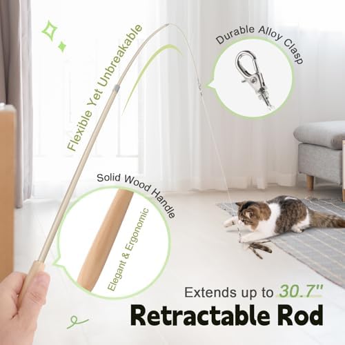 SONGWAY Interactive Cat Feather Toys - Cat Wand Toy Set with Retractable Teaser Wand and 6 PCS Natural Feather Refills, Da Bird Cat Toys for Indoor Cats Kittens