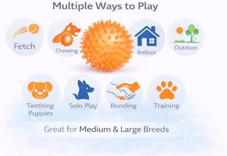 Squeaky Spiky Dog Ball for Teeth Cleaning & Gum Massage 2.5 Inch Small Medium Dogs Orange | Spiny TPR Rubber Chew Toy for Fetch Play Interactive Bouncy Dental Ball Durable BPA Free Nontoxic Floats