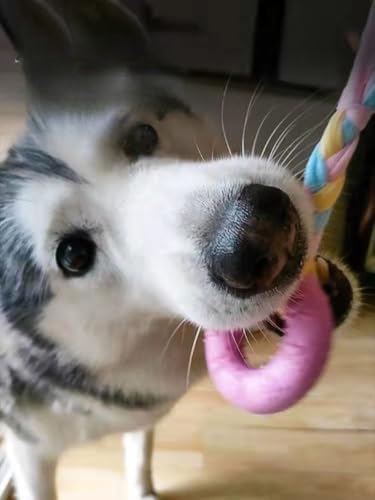 Dog Chew Toys, 7pcs Dog Puppies Teething Chewing Toy Set with Ball and Colorful Ropes, Interactive Pet Toys for Small and Medium Dogs (Pink)