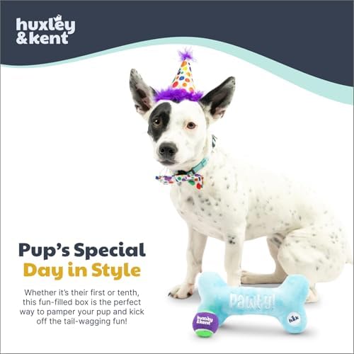 Huxley & Kent Celebration Box for Dogs, Happy Barkday, Small
