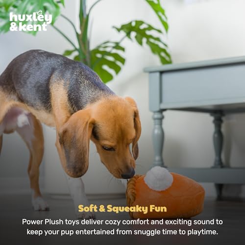 Huxley & Kent Funny Dog Toy w/Squeaker – Fall Power Plush Squeaky Dog Toys for Small, Medium & Large Dogs – Soft Stuffed Animal for Indoor Play & Fetch - Punkin Pie, Small