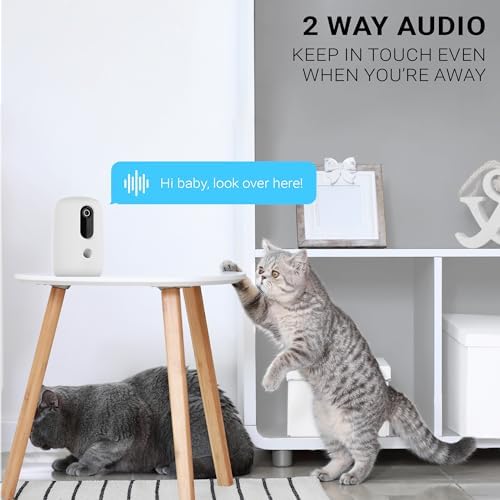 Instachew Purechew Snack Smart Treat Thrower with HD Camera, Automates Feeding with Portion Control, Dog and Cat Treat Dispenser