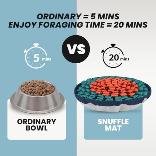 PET ARENA Snuffle Mat Dog Puzzle Toy Slow Feeder for Training & Enrichment