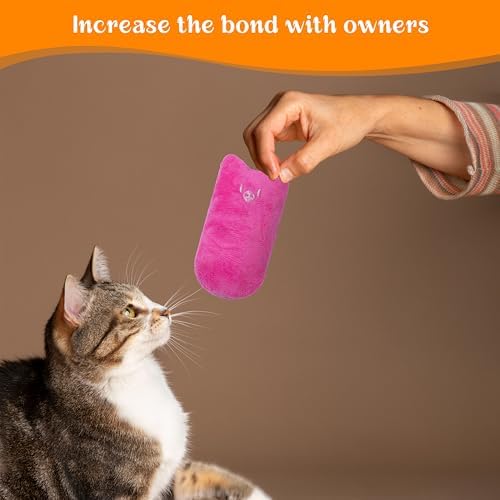 Seyezo Cat Toys for Indoor Cats, Multi Color, 5 Pack
