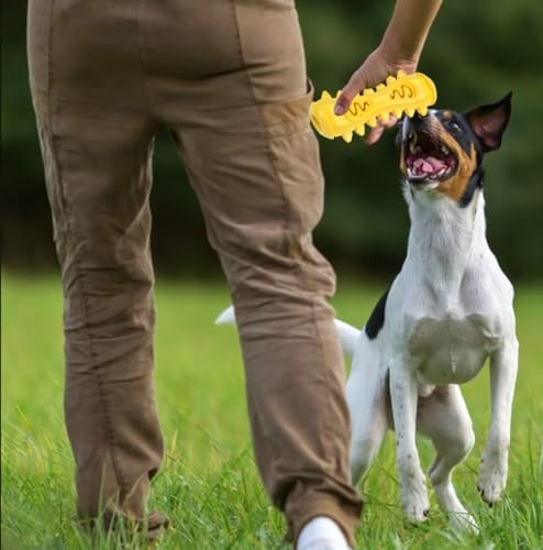 Dog Toothbrush Chew Toy – Durable Dog Dental Toy for Teeth Cleaning, Food Grade Rubber, Interactive Dog Toy