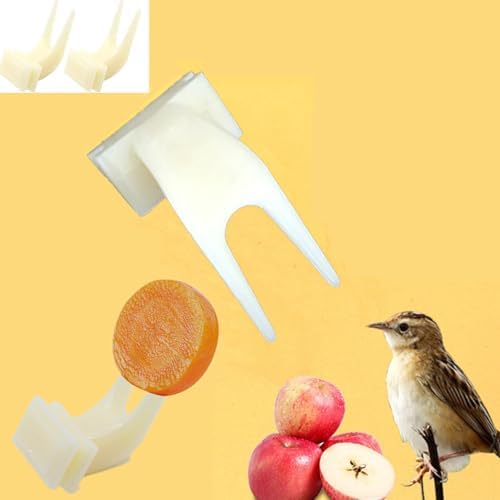 Bird Food Feeder for Cage, Bird Parrots Cage Food Holder Fruit Feeder Fork Set of 10 Fruit Vegetable Feeding Tool Feeding Forks for Cockatoos Treats