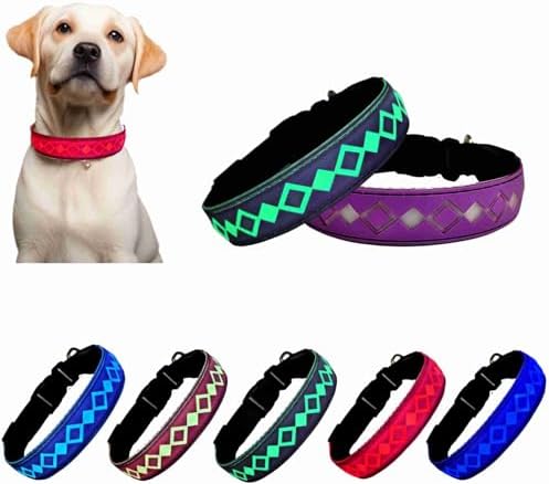 Personalized Flashing Night Dog Collar with Waterproof airtag Holder for Black Dog Night Walking (Purple, L(15.7-19.7"))