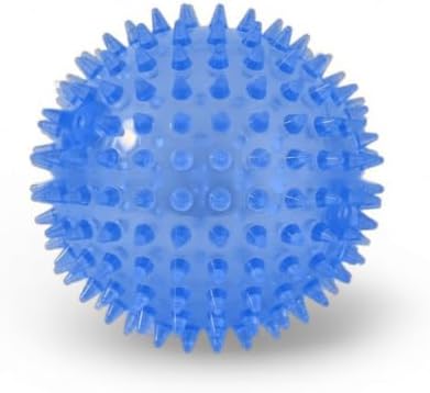 Squeaky Spiky Dog Ball for Teeth Cleaning & Gum Massage 2 Inch Puppy Small Dogs Blue | Spiny TPR Rubber Chew Toy for Fetch Play Interactive Bouncy Dental Ball Durable BPA Free Nontoxic Floats
