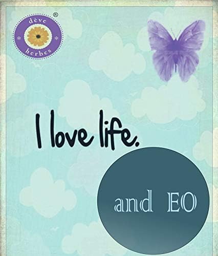 dève herbes Pure Corn Oil (Zea mays) Cold Pressed Pack of Five 100ml X 5 (16.9 oz)