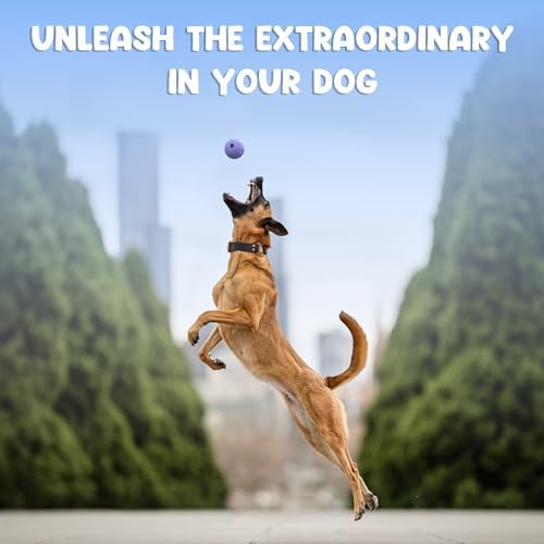 Foam Fetch Ball for Dogs – Durable EVA Foam Dog Ball, Interactive Chew Toy for Dogs, Lightweight Floating Ball for Water, Pool & Outdoor Fetch Games (Purple, Medium)
