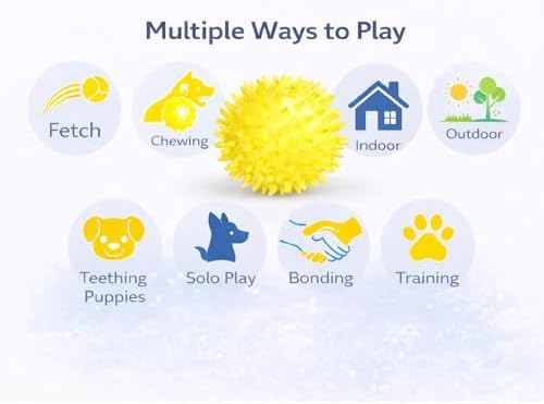 Squeaky Spiky Dog Ball 2.5 Inch for Small Medium Dogs (Color Varies), Teeth Cleaning & Gum Massage, Spiny TPR Rubber Chew Toy for Fetch Play, Interactive Bouncy Dental Ball, Durable BPA Free
