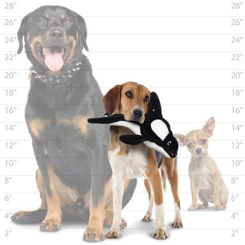 TUFFY® 2 Pack Fish Killer Whale Ultra Durable Plush Dog Toys