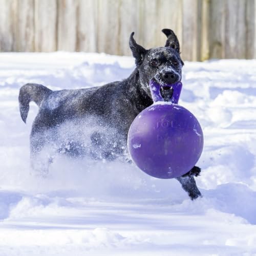 Jolly Pets Tug-n-Toss Heavy Duty Dog Toy Ball with Handle, 8 Inches/Large, Purple
