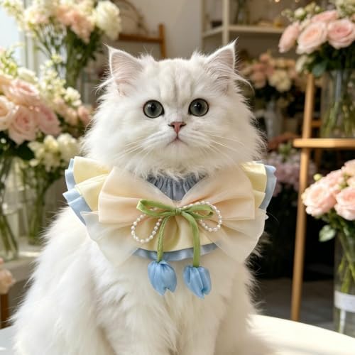 Cat Dog Lace Bow Collar Luxury Elastic Neckline (#12)