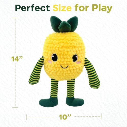 Bow Wow Pet Squeaky Plush Dog Toy with Crinkle, Soft Durable Stuffed Dog Toy for Small & Medium Dogs, Interactive Fetch, Tug & Chew Toy, Engaging Pet Toy for Play, Enrichment & Comfort