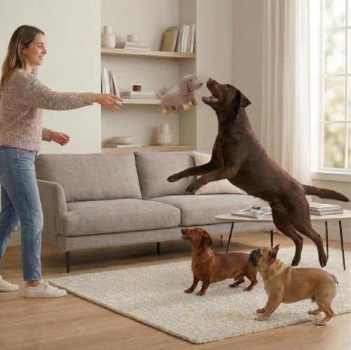 Fuzzl Sizzles Latex Dachshund Dog Toy β Large Brown Sausage Dog β Squeaky Durable Latex Chew Toy for Medium and Large Dogs Rubber Toys