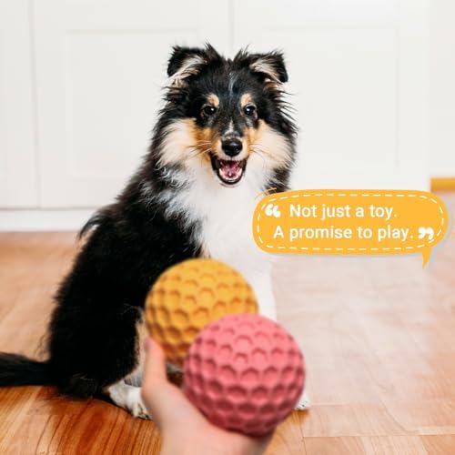 iPettie 4 Pack Honeycomb Dog Toys for Aggressive Chewers, Squeaky Chew Toys