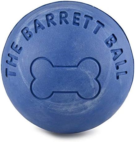 SPOT Ethical Barrett Ball Virtually Indestructible Rubber Ball | Medium Dog Toy