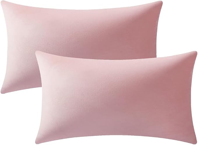 Lumbar Pillow Covers 12x20 Light Pink: Pack of 2 Cozy Soft Velvet Rectangular Modern Luxury Decorative Throw Pillow Cases for Sofa Couch Living Room Bed Home Decor