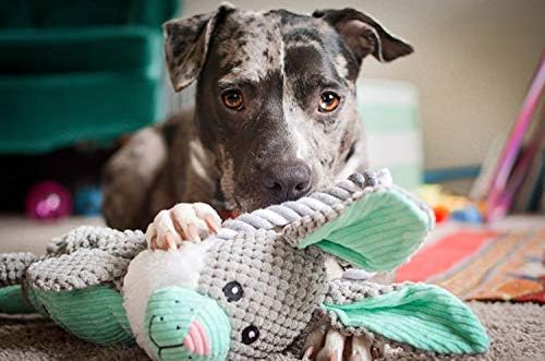 Charming Pet Scrunch Bunch Bunny Interactive Plush Squeaky Dog Tug Toy