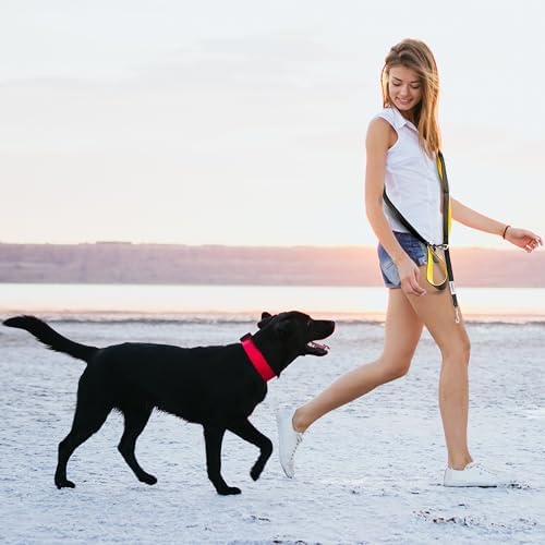Heavy Duty Dog Leash for Large Dogs – 6FT Reflective Bungee with Padded Handles, Strong Carabiner Clip, No Pull Control for Medium & Large Breeds, Includes Poop Bag Holder & Treat Pouch (Purple)