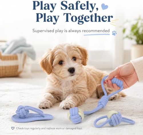 Dog Rope Toys for Puppies and Small Dogs, 6 Pack Cotton Rope Chew and Tug Toys for Teething Puppies, Tossing and Indoor Play (Blue)
